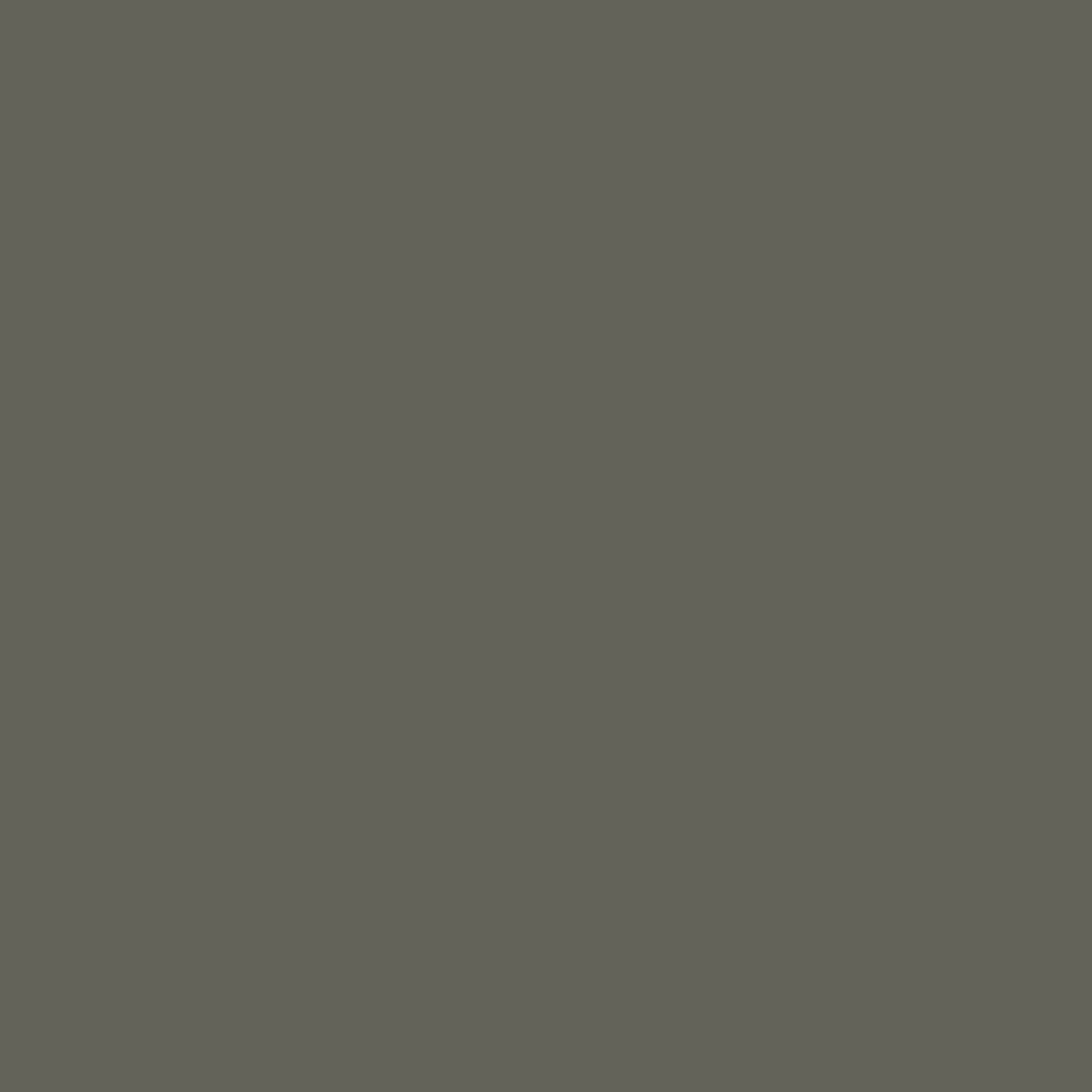 365 Bio-Baumwollshorts - Staubige Olive