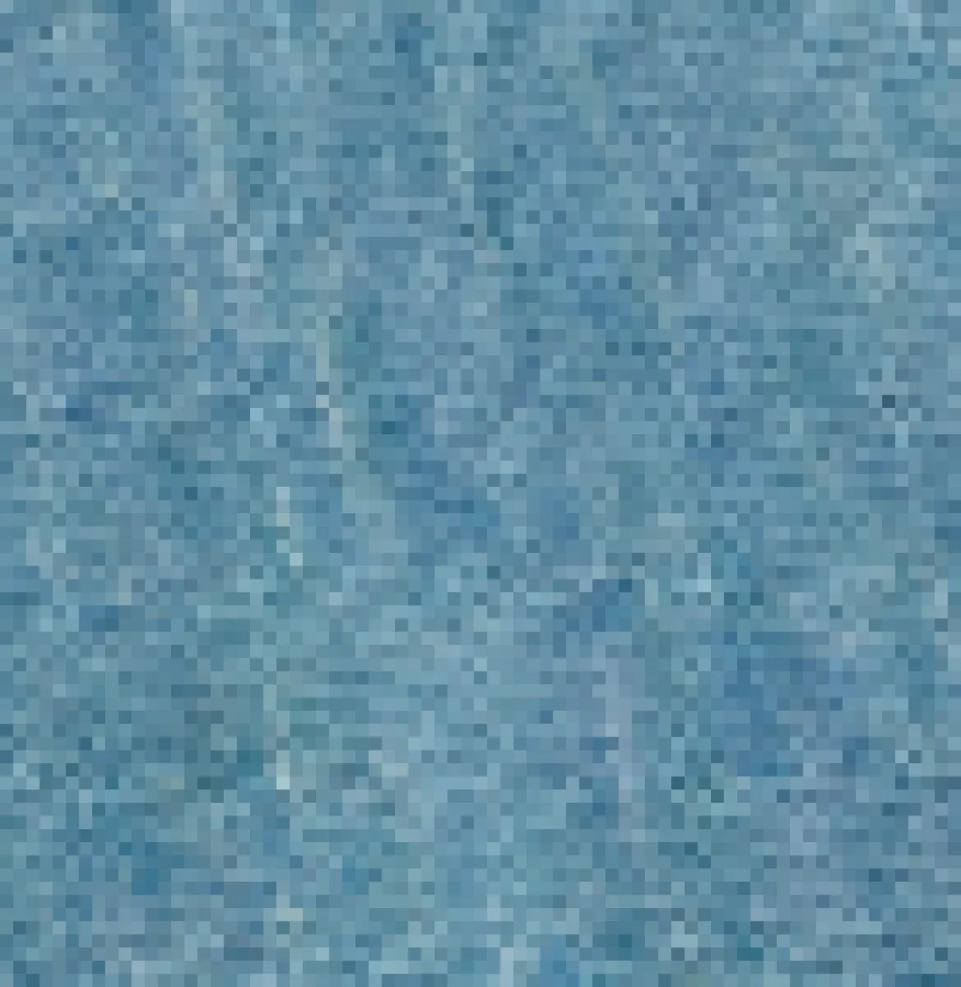 Poinsettia Bio-Baumwoll-Sweatshirt - Weiches Blau Pool Marl