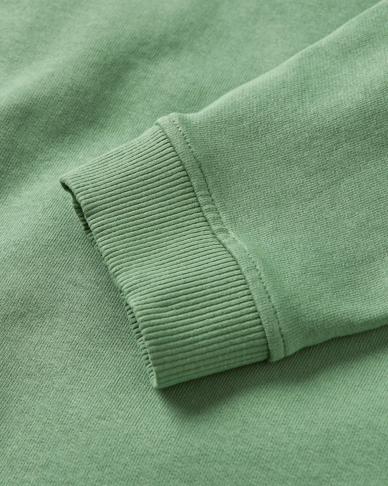 Rainbow Recyceltes Baumwolle Oversized Sweatshirt - Dunkles Efeu
