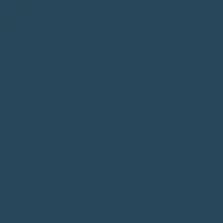 Riser Recyceltes Baumwoll Langarm-T-Shirt - Blaue Koralle