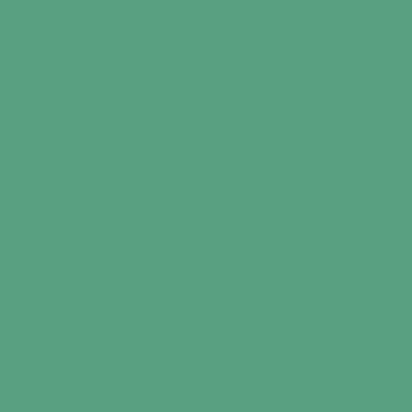 Rivergate recyceltes Baumwoll-Top - Khaki