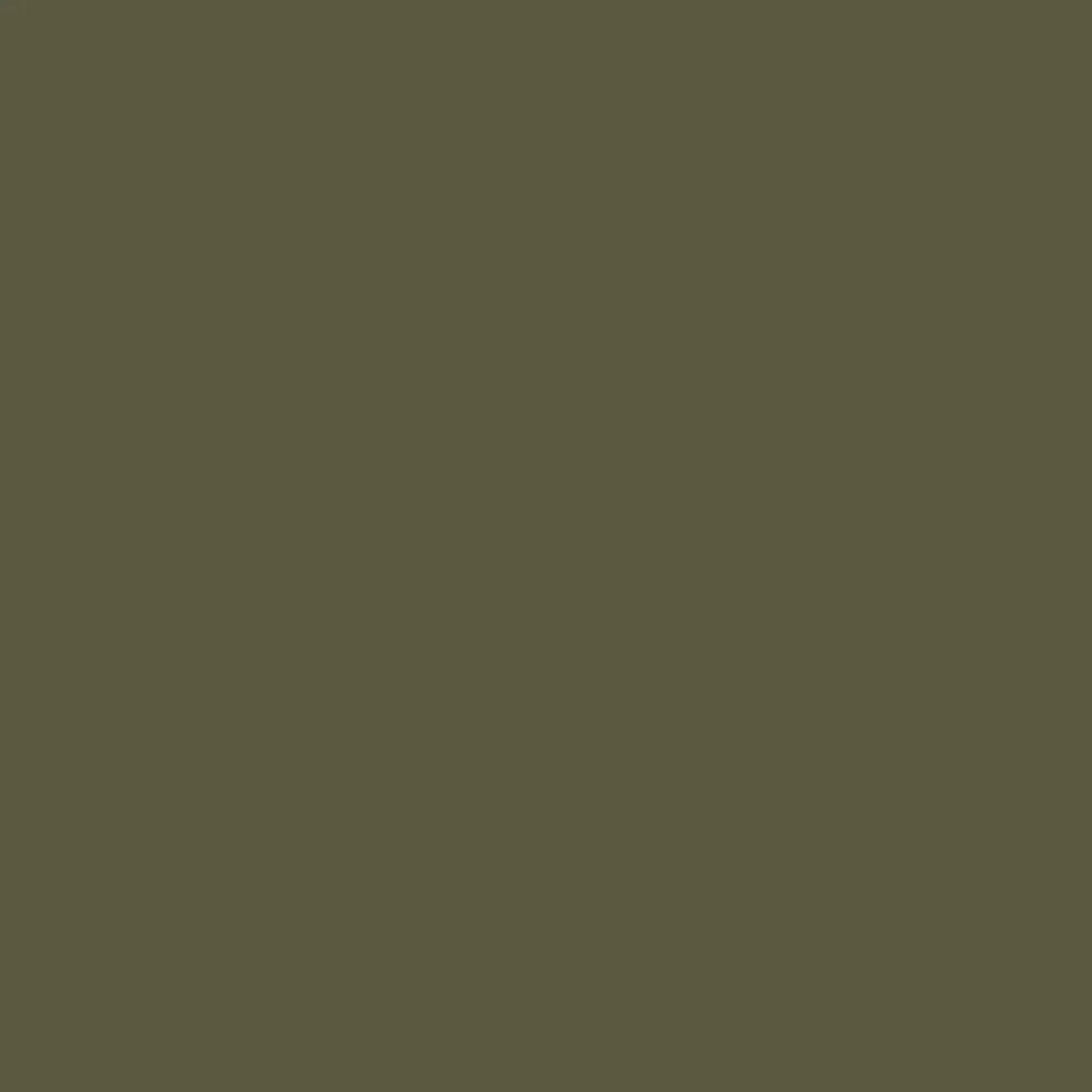 Topanga Cord Shorts - Khaki
